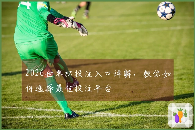 2026世界杯投注入口详解,教你如何选择最佳投注平台