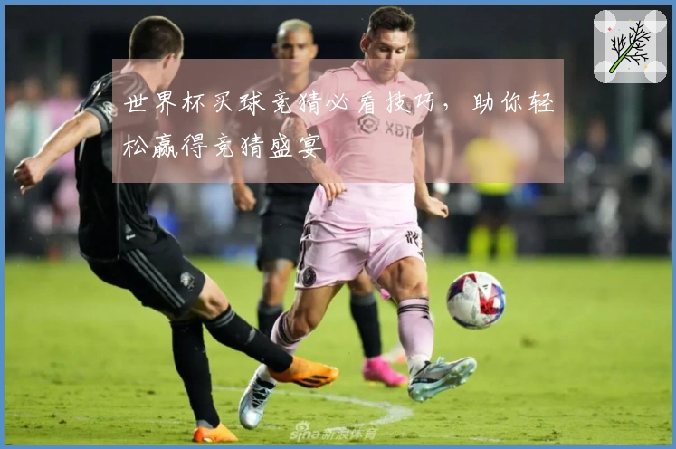 世界杯买球竞猜必看技巧，助你轻松赢得竞猜盛宴